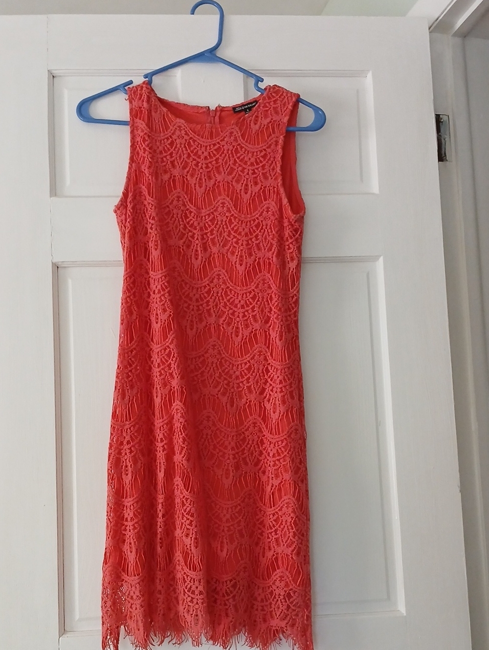 Sleeveless Lace Shift Dress in Coral